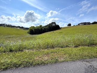 Lots 17-18 English Mountain Rd, Newport, TN 37821