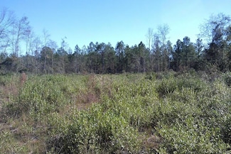 0 Inner Perimeter Rd Unit 16222017, Valdosta, GA 31602