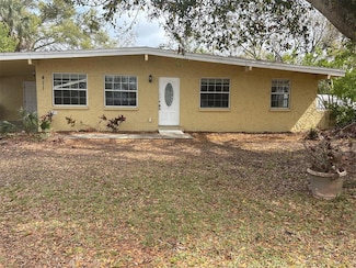 411 Shore Dr E, Oldsmar, FL 34677