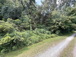 TBD Gall Ave, Belington, WV 26250