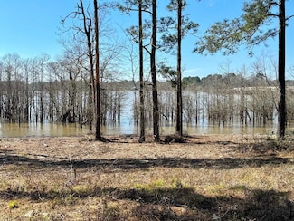 003 Farm To Market Road 83, Broaddus, TX 75929
