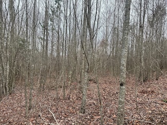 5 23+ -Acres Browns Hollow Rd, Tracy City, TN 37387