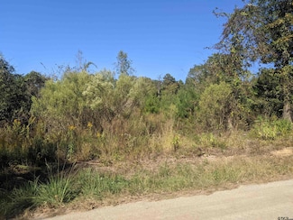 0 County Road 240, Tyler, TX 75705