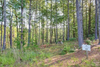 3227 Ella Marie Way Unit 69, Nebo, NC 28761
