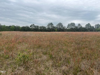 0 Mill Creek Church Rd, Newton Grove, NC 28366