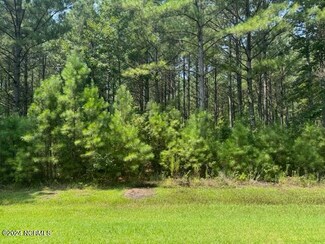 155 N Berne Landing, New Bern, NC 28560