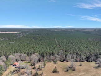 PID 38219 Loy Gibson Rd, Huntington, TX 75949