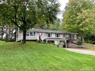 13043 Trist Rd, Grass Lake, MI 49240