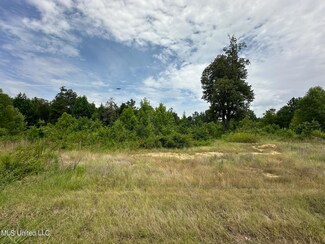 11554 Hidden Acres Dr, Byhalia, MS 38611