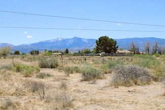 11182 Monte Vista Rd, Phelan, CA 92371