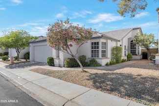 510 W Marconi Ave, Phoenix, AZ 85023