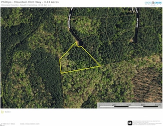 0 Mountain Mint Way, Salem, SC 29676