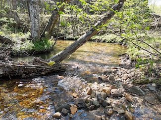 37 Coosa Cove Rd, Blairsville, GA 30512