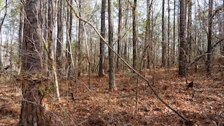 0 Dove Ct, Wilsonville, AL 35186