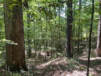 0 Mount Carmel Rd, Dierks, AR 71833