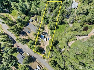 41 NE Creekview Place, Tahuya, WA 98588