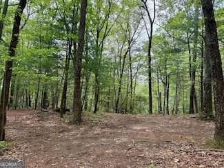 0 Secluded Pond Trail Unit 10518091, Cleveland, GA 30528