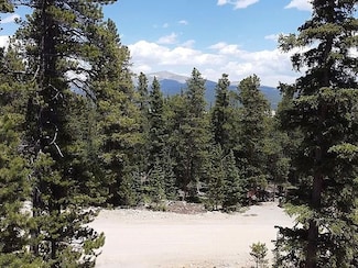 117 Miners Way, Fairplay, CO 80440