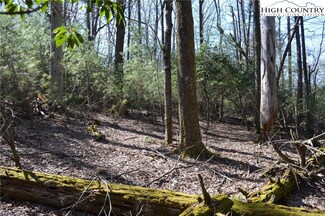 Lot #63 Lake View Dr, Roaring Gap, NC 28668