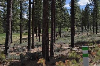 127 Walton Toll Rd Unit 263, Carson City, NV 89705