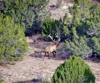84521 Cr 40 2, Branson, CO 81027