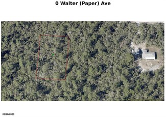 0 Walter Paper Ave Unit MFRFC298931, Lake Helen, FL 32744