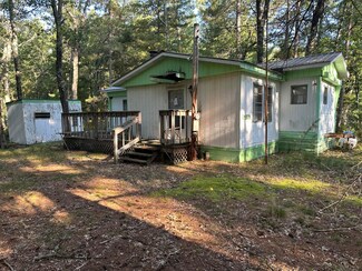 11801 S Shady Grove Dr, Baldwin, MI 49304