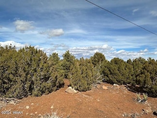 233 Cr 8088 Hohokam Rd Unit 8088, Concho, AZ 85924
