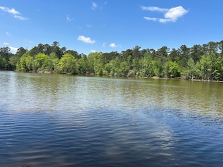 1153 Watersedge Cove, Tignall, GA 30668