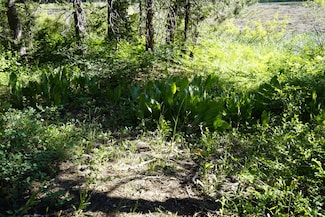 0 Forest Rd 41, Soda Springs, CA 95728
