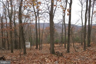 LOT 58 & 59 Falconwood Rd, Bloomery, WV 25434