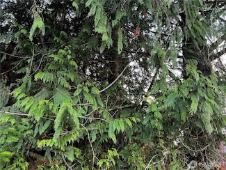 0 S Twin Cedars Dr, Clinton, WA 98236