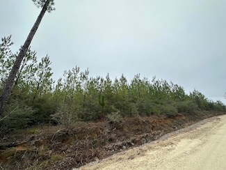 Tract#6418 Mattox Springs Rd Unit N1, Caryville, FL 32427