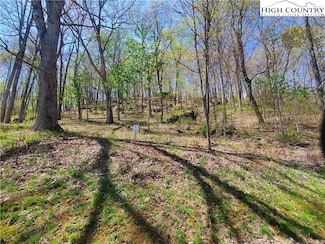 TBD Soothing Waters Dr, Todd, NC 28684