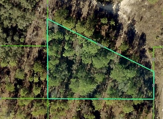 15241 Barron Ct, Brooksville, FL 34614