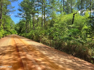 000 Holmes Rd, Westville, FL 32464