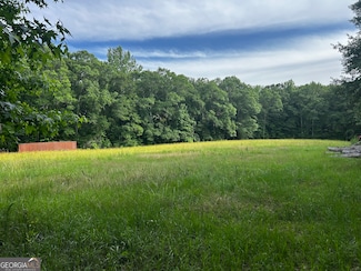 0 Joe Cox Rd Unit 10533893, Sharpsburg, GA 30277