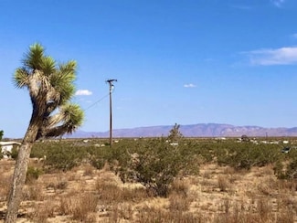128 Kuna Ave, Landers, CA 92285