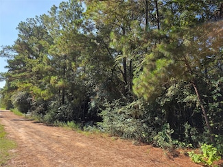 0 Tawnyberry Ln Unit 63727579, Plantersville, TX 77363