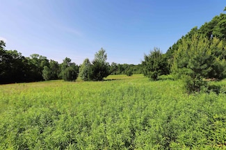 0 E River Rd Unit 50178888, Flushing, MI 48433