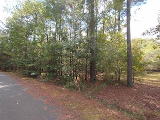 1 Alhaja Way, Hot Springs Village, AR 71909