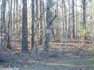 100 Lake View Estates, Story, AR 71970
