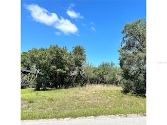 18002 Oggie Ln, Hudson, FL 34667
