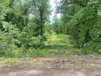 17407 County Road 4247, Reklaw, TX 75784