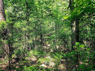 Lot 17 Fern Trail, Fairfield Bay, AR 72088