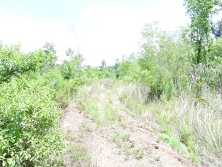 TBD Snowhill Rd, Coldspring, TX 77331