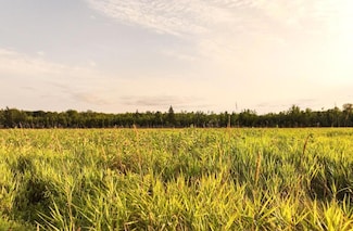 ON Suring Ln Unit 31 ACRES, Hiles, WI 54511