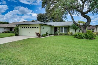 8220 Lora Del Rio Dr, Port Richey, FL 34668