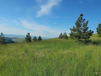 Lot B Forsman Rd, Lewiston, ID 83501