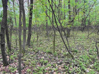 .85 acres Lorrel St, Mosinee, WI 54455
